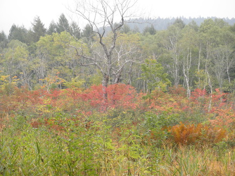 口コミで広がっている「就職説明会」